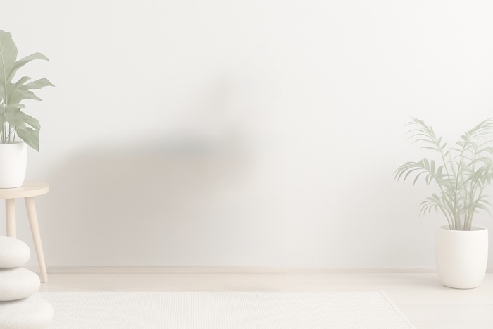 Feng shui